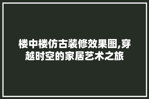 楼中楼仿古装修效果图,穿越时空的家居艺术之旅 工艺流程