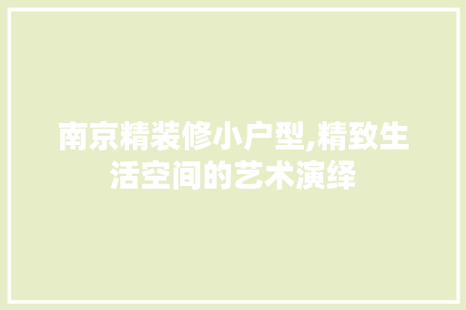 南京精装修小户型,精致生活空间的艺术演绎 住宅建筑设计