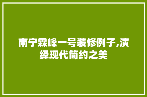 南宁霖峰一号装修例子,演绎现代简约之美 住宅建筑设计