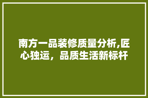 南方一品装修质量分析,匠心独运，品质生活新标杆 常见问题