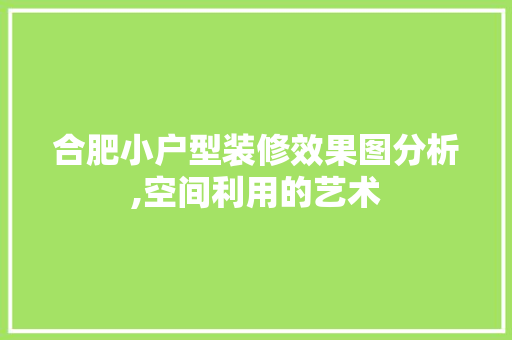 合肥小户型装修效果图分析,空间利用的艺术 施工技术