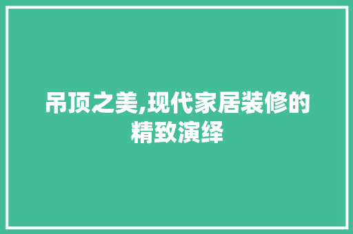 吊顶之美,现代家居装修的精致演绎 常用设备