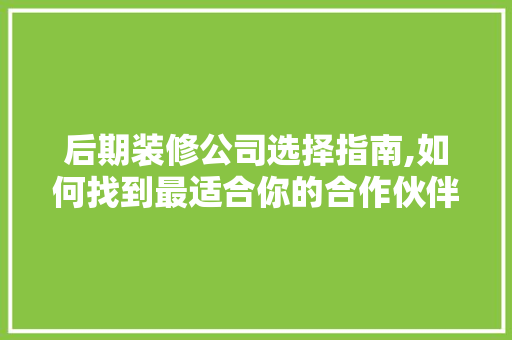 后期装修公司选择指南,如何找到最适合你的合作伙伴 工艺流程