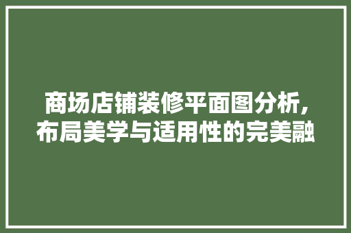 商场店铺装修平面图分析,布局美学与适用性的完美融合 建筑法规
