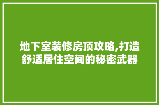 地下室装修房顶攻略,打造舒适居住空间的秘密武器 设计原则