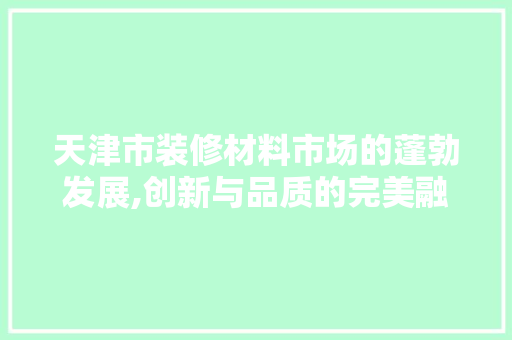 天津市装修材料市场的蓬勃发展,创新与品质的完美融合 工艺流程