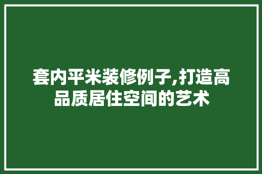 套内平米装修例子,打造高品质居住空间的艺术