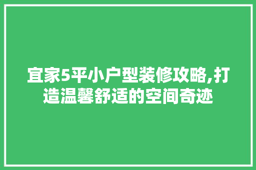 宜家5平小户型装修攻略,打造温馨舒适的空间奇迹 常见问题