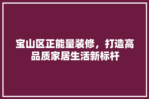 宝山区正能量装修，打造高品质家居生活新标杆 住宅建筑设计