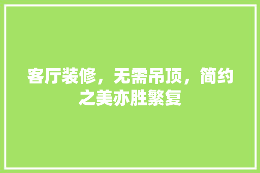 客厅装修，无需吊顶，简约之美亦胜繁复 公共建筑设计