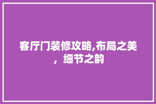 客厅门装修攻略,布局之美，细节之韵 材料设备