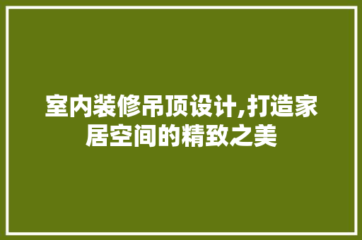 室内装修吊顶设计,打造家居空间的精致之美 施工工艺