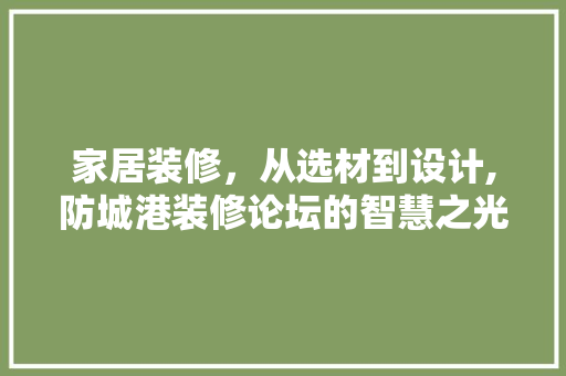 家居装修，从选材到设计,防城港装修论坛的智慧之光 施工管理