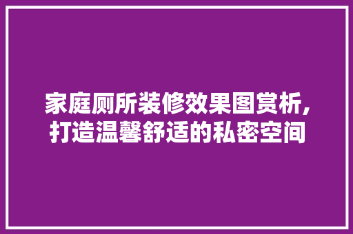 家庭厕所装修效果图赏析,打造温馨舒适的私密空间 施工工艺