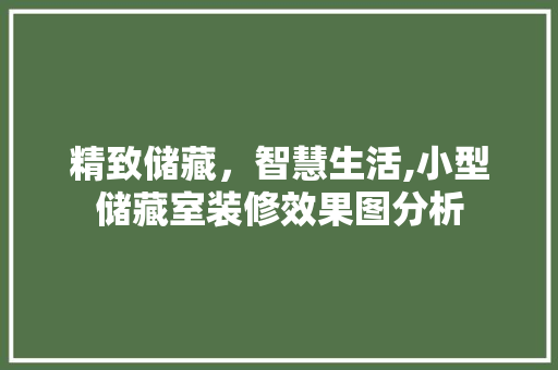 精致储藏，智慧生活,小型储藏室装修效果图分析 设计原则