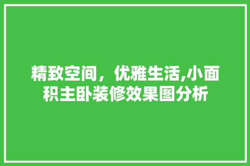 精致空间，优雅生活,小面积主卧装修效果图分析 施工技术