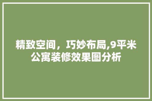 精致空间，巧妙布局,9平米公寓装修效果图分析 设计原则