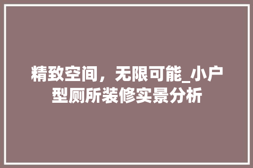 精致空间，无限可能_小户型厕所装修实景分析 常见问题