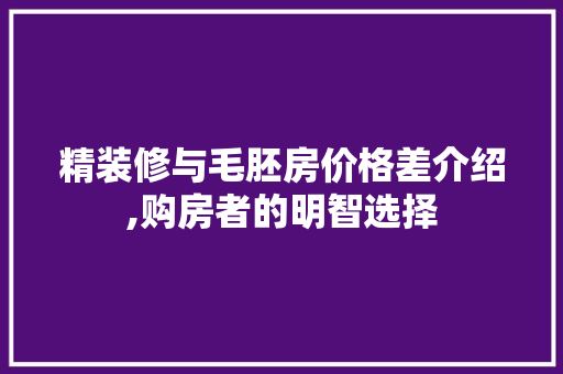 精装修与毛胚房价格差介绍,购房者的明智选择 施工技术