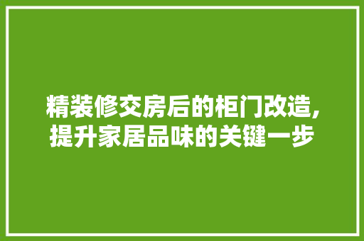 精装修交房后的柜门改造,提升家居品味的关键一步 建筑法规
