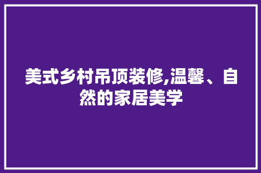 美式乡村吊顶装修,温馨、自然的家居美学 常用设备