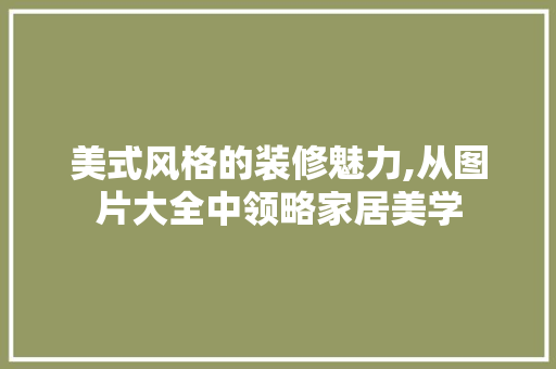 美式风格的装修魅力,从图片大全中领略家居美学 设计原则