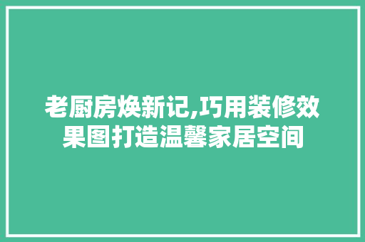 老厨房焕新记,巧用装修效果图打造温馨家居空间 工艺流程