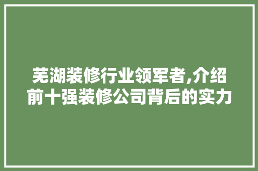 芜湖装修行业领军者,介绍前十强装修公司背后的实力与魅力 施工管理