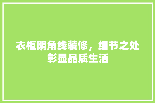 衣柜阴角线装修，细节之处彰显品质生活 建筑设计