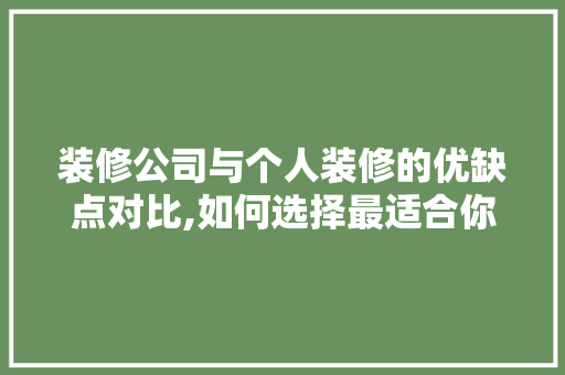装修公司与个人装修的优缺点对比,如何选择最适合你的装修方式 常用建材