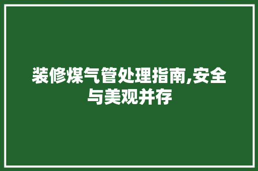 装修煤气管处理指南,安全与美观并存 材料设备