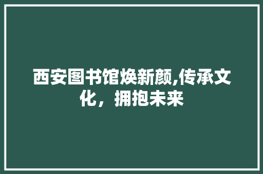 西安图书馆焕新颜,传承文化，拥抱未来 工艺流程
