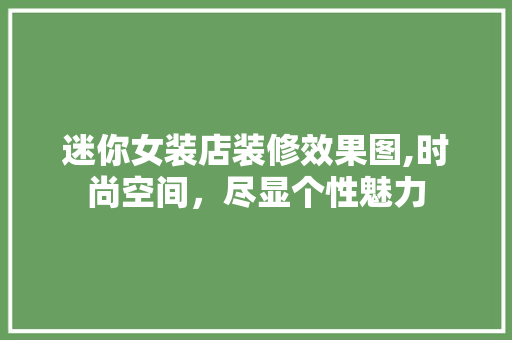 迷你女装店装修效果图,时尚空间，尽显个性魅力 施工技术