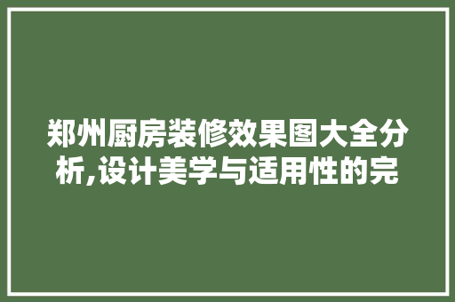 郑州厨房装修效果图大全分析,设计美学与适用性的完美融合 施工工艺