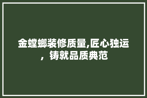 金螳螂装修质量,匠心独运，铸就品质典范 常用设备