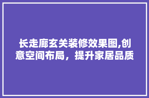 长走廊玄关装修效果图,创意空间布局，提升家居品质 公共建筑设计
