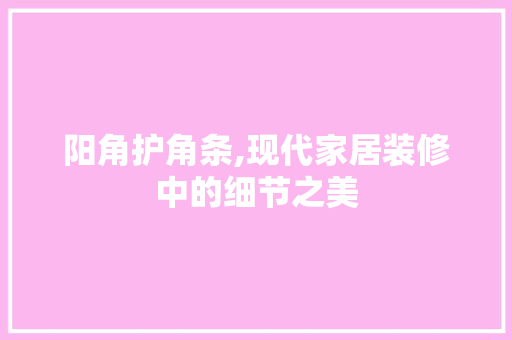 阳角护角条,现代家居装修中的细节之美 设计原则