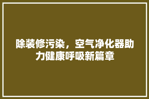 除装修污染，空气净化器助力健康呼吸新篇章 施工工艺