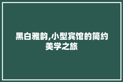 黑白雅韵,小型宾馆的简约美学之旅 常用建材