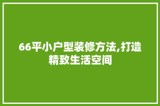 66平小户型装修方法,打造精致生活空间 常用设备