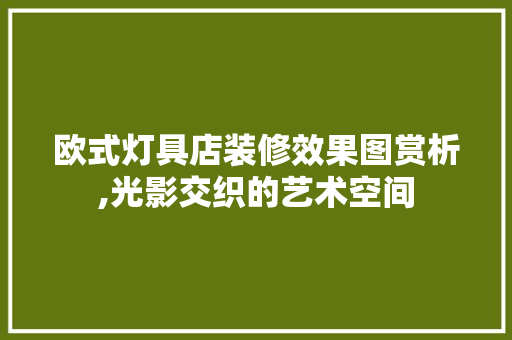 欧式灯具店装修效果图赏析,光影交织的艺术空间 工艺流程