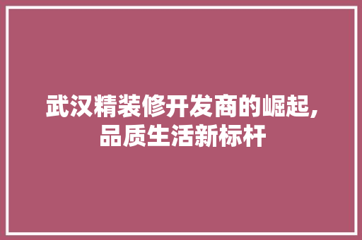 武汉精装修开发商的崛起,品质生活新标杆 常用设备