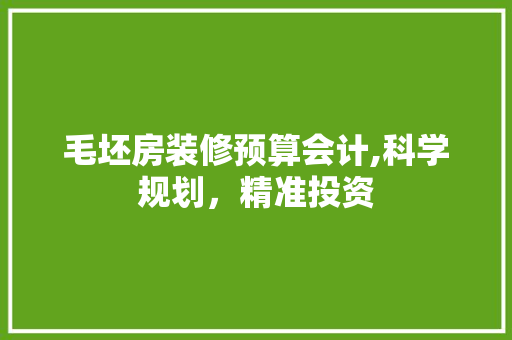 毛坯房装修预算会计,科学规划，精准投资 新型材料
