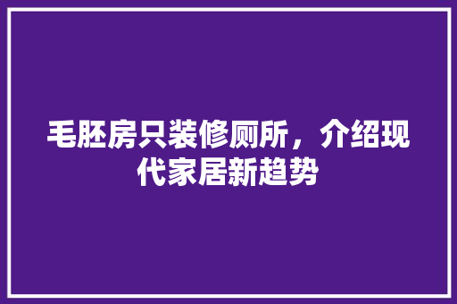 毛胚房只装修厕所，介绍现代家居新趋势 施工技术