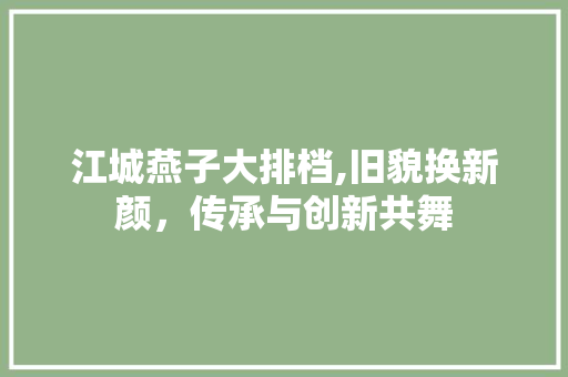 江城燕子大排档,旧貌换新颜，传承与创新共舞 住宅建筑设计