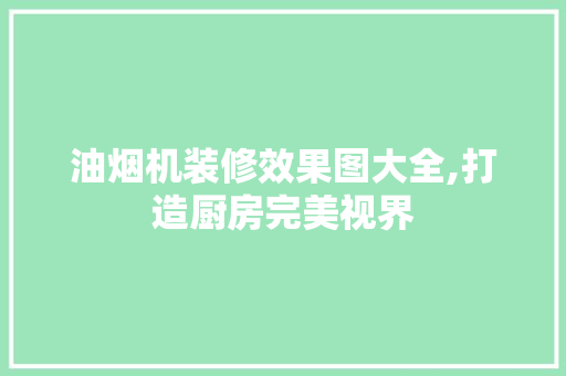 油烟机装修效果图大全,打造厨房完美视界 住宅建筑设计