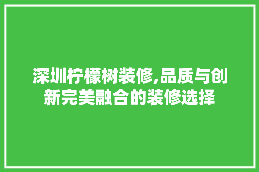 深圳柠檬树装修,品质与创新完美融合的装修选择 施工技术