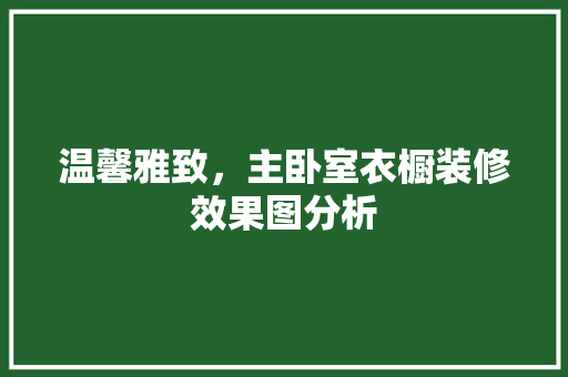 温馨雅致，主卧室衣橱装修效果图分析 知识问答