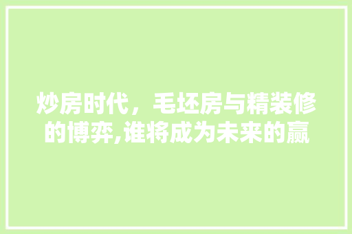 炒房时代，毛坯房与精装修的博弈,谁将成为未来的赢家 施工管理