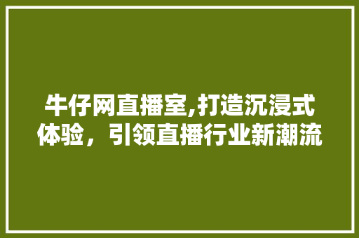 牛仔网直播室,打造沉浸式体验，引领直播行业新潮流 工艺流程